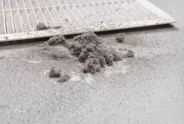 Best Residential Air Duct Cleaning  in East Valley, NV