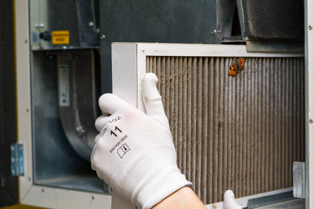 Best Air Duct Mold Removal  in East Valley, NV